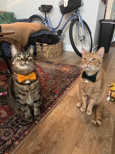 2 Pack Soft Corduroy Cat Collars with Bow Tie & Bell Adjustable Breakaway Kitten Bowtie Collar for Girl Boy Cats (S:Neck 7.0" - 11.0" / Corduroy-Orange Green)