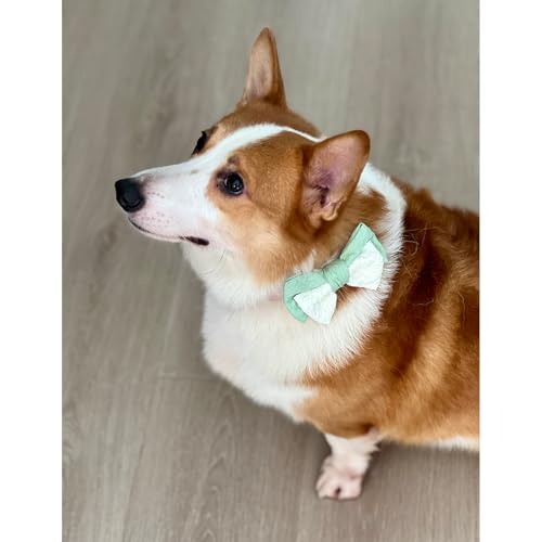 10 PCS Dog Bow Ties (Medium)