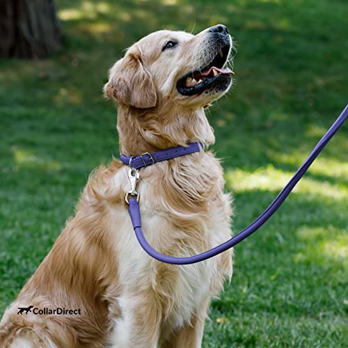 Tangle Free Rolled Leather Dog Collar (Purple / XL)