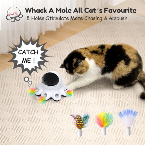 Cat Laser Toy (Cool Black*1)