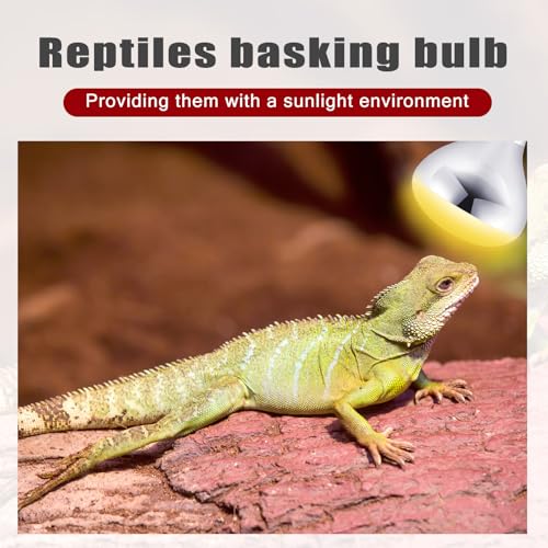 4 Pack Heat Lamp Bulbs 250 Watt (Silver, Red)