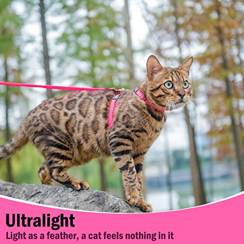Adjustable Cat Harness and Leash Set Escape Proof Kitten Strap Collar for Walking Travel (Small / Hot Pink)