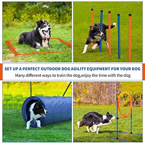 Dog Agility Training Equipment (5 PCS SET with Tunnel)