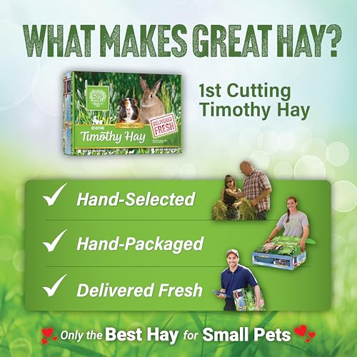 1st Cutting Timothy Hay for Rabbits & Guinea Pigs (2 Pound (Pack of 1))