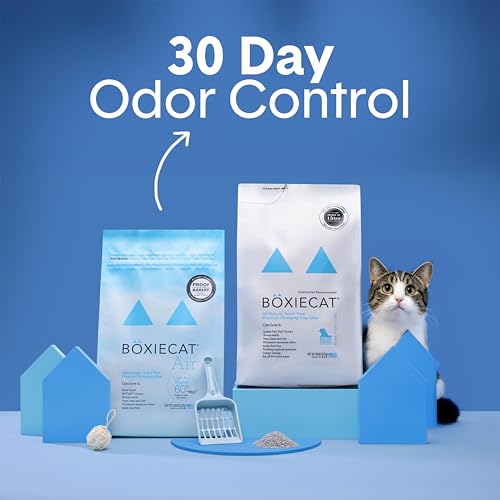 Boxie Unscented Natural Lightweight Cat Litter 30+ Day Odor Control 16.5 lb (3 MONTH (16.5 LB))