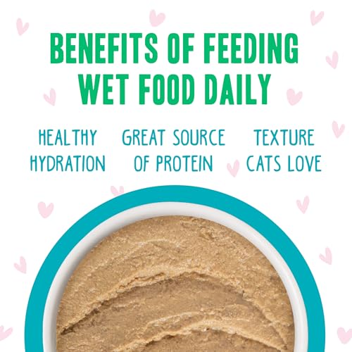 B.F.F. Play Best Feline Friend Paté Lovers (2.8 Ounce (Pack of 12))