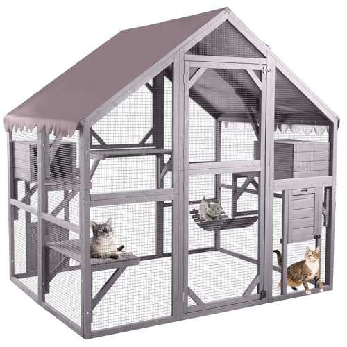 Large Catio Outdoor Cat Enclosure Window Design for 6