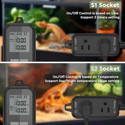 Reptile Thermostat