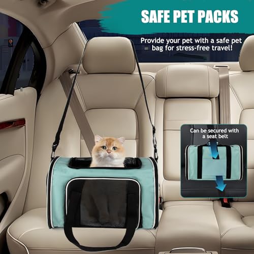 Dog Cat Carrier Pet Carriers for Small Medium Large Cats Dogs Carrier Soft Sided Small Puppy Dog Carrier Portable Foldable Airline Approved Dog Cat Travel Carrier Green Large (20.0"L x 13.0"W x 13.0"H / Green)