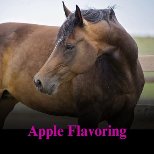 Gain Weight Supplement for Horses (25 lbs)