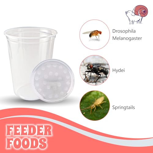 Deli Cups with Fabric Vented Lids (32oz/10 cups)
