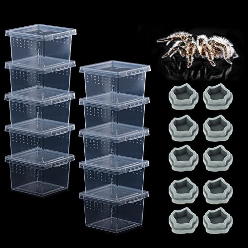 10 Pack Small Size Spider Terrariums Breeding Box Hatching Container Insect Scorpion Centipede Acrylic Breeding Box