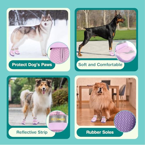 Dog Shoes for Small Dogs (Purple / Width 1.37 inches)