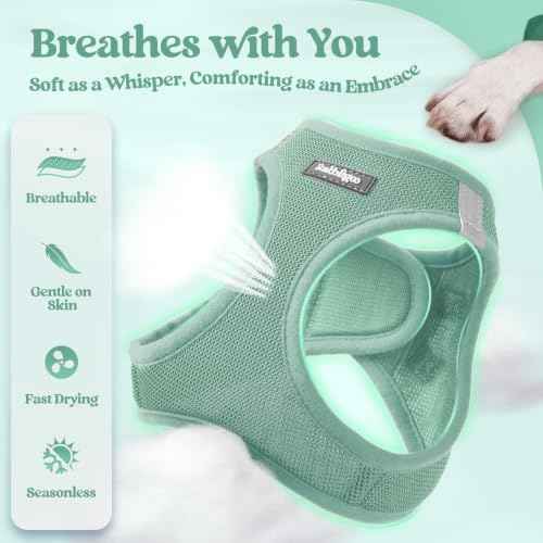 Dog Harness Small Sized and Leash Set (Moss Green / S (chest: 15.1 - 16.5"))