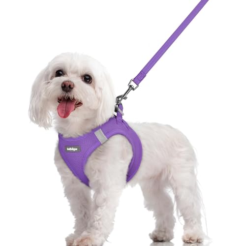 Dog Harness Medium Sized and Leash Set (Purple / M (chest: 16 - 18.5"))