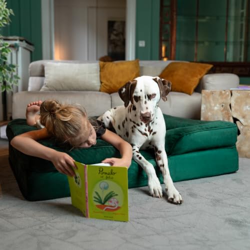 Large Dog Bed (Dark Green - VE / X-Large)