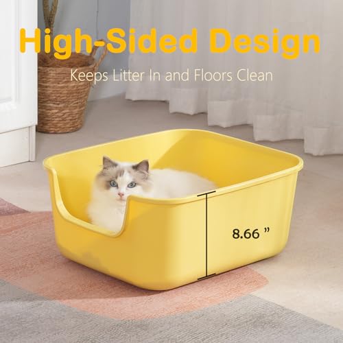 Large Cat Litter Box with High Sides (White)