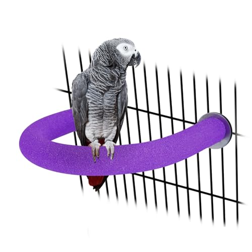 U Shaped Large Parrot Perch (Large / Purple)