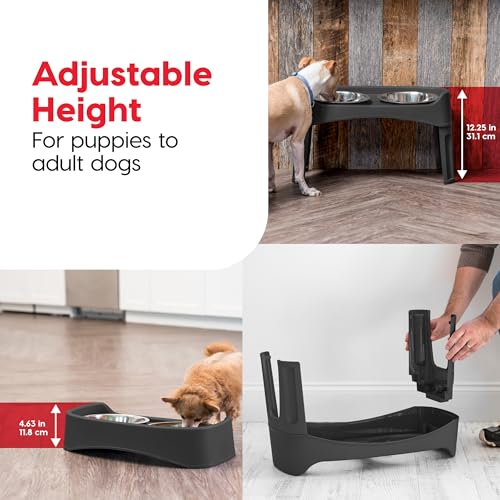 Elevated Dog Bowls (Black)