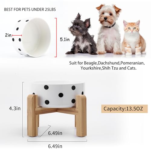 Elevated Raised Ceramic Dog Bowl for Small Breeds (Black Dot / 1.7 Cups - Small)
