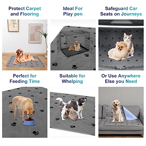 Washable Pee Pads for Dogs + Free Puppy Grooming Gloves (72x72 Inch (Pack of 1))