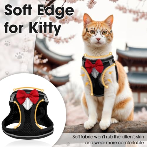 Cat Vest Harness and Leash Set (Black / M)