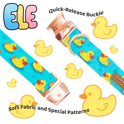 Boy Dog Collar (Duck / Medium (Pack of 1))