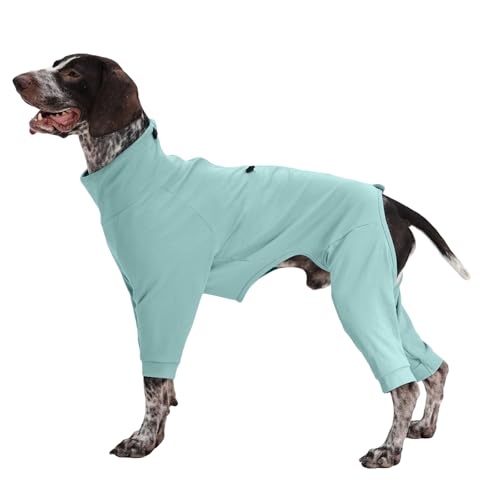 Recovery Suit for Large Dogs (Green / XL)