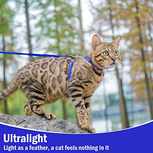 Adjustable Cat Harness and Leash Set Escape Proof Kitten Strap Collar for Walking Travel (Small / Navy Blue)