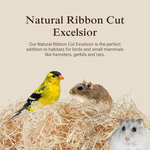 Aspen Wood Excelsior (Ribbon Cut / Small 1-pack)