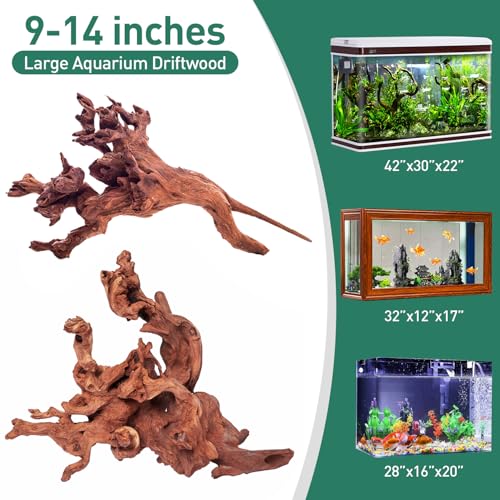 Natural Driftwood for Aquarium Decor (Mopani driftwood （10-14 inch pack of 2）)