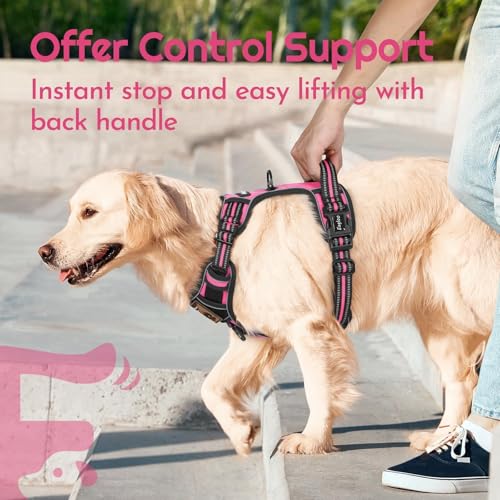 Dog Harness No Pull for Small Dogs (Small / Pink & Black)