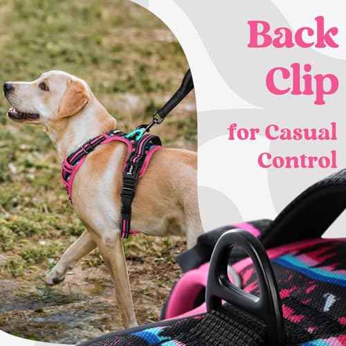 Dog Harness Small Sized (Mountain Rose / Small)