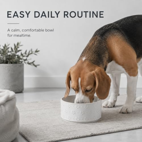 Dog Bowls Ceramic (1 Bowl-Arctic White / 3.4CUPS)