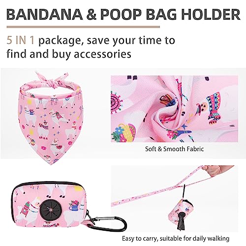Dog Harness Collar and Leash Set No Pull for Small Medium Sized (Light Pink(Alpaca) / XS (CHEST 13"-14.5"))