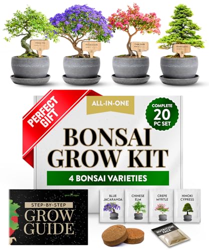 Bonsai Tree Starter Kit