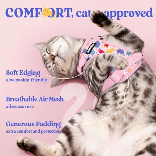 Cat Harness and Leash Set (S / Purrty Pink)