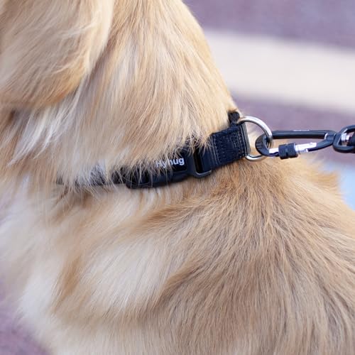 Black Dog Collar for Medium Dogs (Medium / Black)