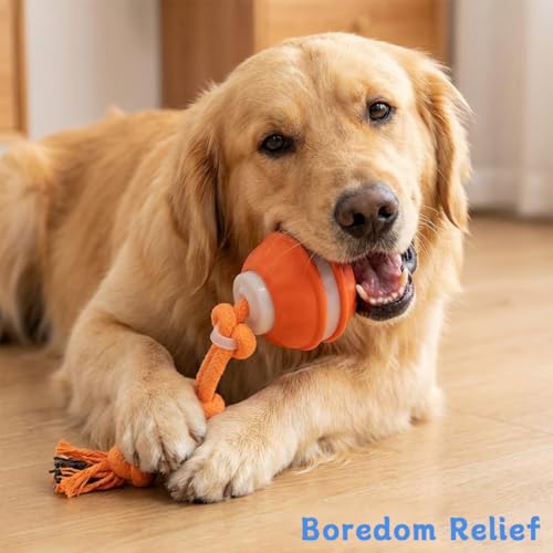 Zealburst Interactive Dog Toy Ball (Orange)