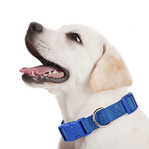 9 Pcs Adjustable Dog Collars Set for Litter (Retro Colors / Small)