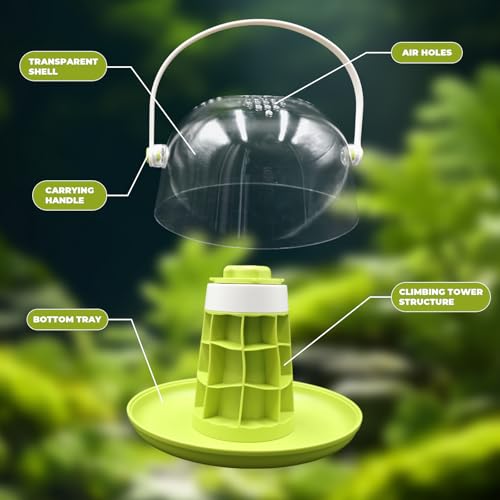 Round Transparent Snail Terrarium Kit