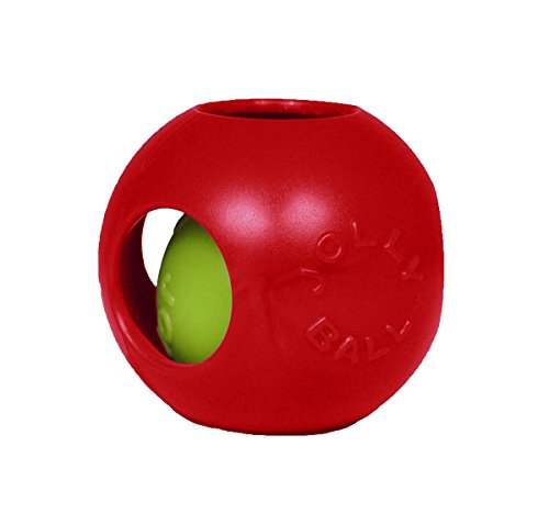 Teaser Ball Interactive Dog Toy (Red / Medium (6 in))