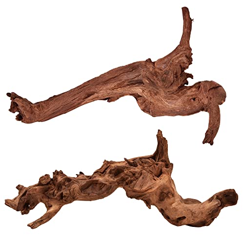 Natural Large Driftwood for Aquarium Decor Reptile Decor (Mopani Driftwood 12.5 to 18 Inch (Pack of 2))