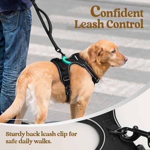Dog Harness No Pull for Small Dogs with 2 Leash Clips (Small / Black)