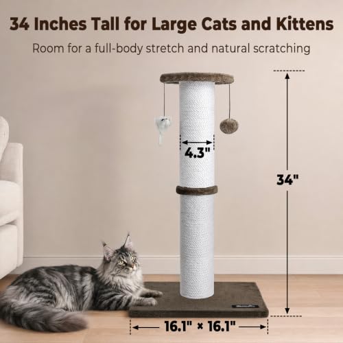 34 Inch Tall Cat Scratching Post for Large Cats (Brown)