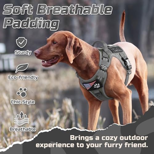 Tactical Dog Harness for Large (Grey / Large)