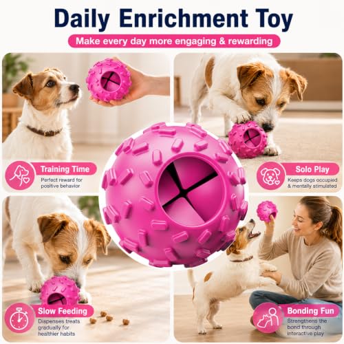 Treat Dispensing Dog Toy (Purple)