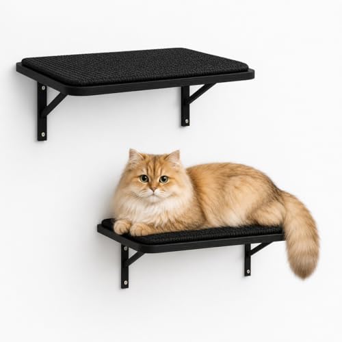 Cat Wall Shelves Set of 2 (2PCS Shelf with Black Sisal)
