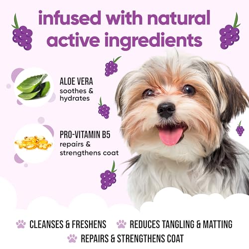 Grape Scented Puppy Shampoo by Buddycare (16.90oz)