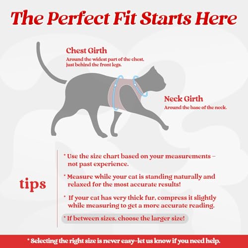 Cat Harness and Leash Set (M / Red)